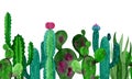 Watercolor banner cacti and succulents flowers