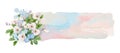 Watercolor Banner with Flowers