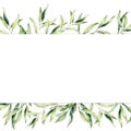 Watercolor banner with olive branch. Hand painted botanical border isolated on white background. Floral illustration for