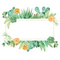 Watercolor banner with succulents, cacti and flowers.