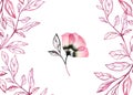 Watercolor banner. Transparent pink anemone with ink leaves isolated on white. Hand painted vintage artwork. Botanical