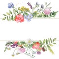 Watercolor banner with wildflowers, herbs, plants, meadow flowers.