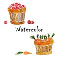 Watercolor bascets with apples and carrots