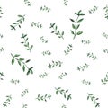 Watercolor basil pattern