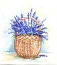 Watercolor basket with lavender