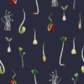 Watercolor beans peas seeds sprouts pattern Royalty Free Stock Photo