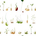 Watercolor beans peas seeds sprouts pattern Royalty Free Stock Photo