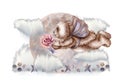 Watercolor teddy bear angel with pink hearts, cupcakes and a flower basket