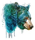 Watercolor bear head. Forest animal. Wildlife art illustration. Can be printed on T-shirts, bags, posters, invitations, cards etc.
