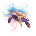 Watercolor beautiful Big sea turtle swimming in tropical ocean Royalty Free Stock Photo