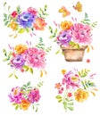 Watercolor beautiful floral design, big collection Royalty Free Stock Photo