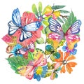 Watercolor beautiful floral design with butterflies Royalty Free Stock Photo