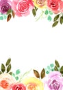 Watercolor beautiful loose style pink, red, violet, yellow ostin rose flower and green leaves frame. Modern color trendy template