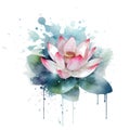 Watercolor beautiful lotus flower pattern. Dirty watercolor background with splash, spots, splatters. Hand drawn painted blossom Royalty Free Stock Photo