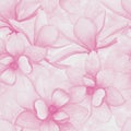 Watercolor beautiful magnolia flowers seamless pattern background. Watercolour spring elegant botanical illustration Royalty Free Stock Photo