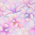 Watercolor beautiful magnolia flowers seamless pattern background. Watercolour spring elegant botanical illustration Royalty Free Stock Photo