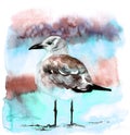 Watercolor beautiful seagull Hand drawn illustration