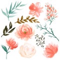Watercolor beautiful vintage bouquet green teal pink blush flower botanical rose petal peonies wild flower