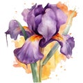 Watercolor beautiful violet iris flowers pattern. Dirty spotty watercolor vector background. Hand drawn paint flower, leaves, Royalty Free Stock Photo