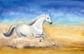 Watercolor beautiful  white horse in the desert Royalty Free Stock Photo