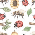Watercolor bee and ladybug seamless pattern, insect repeat paper, wild life print Royalty Free Stock Photo