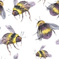 Watercolor bee seamless pattern. Summer natural texture