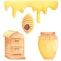 Watercolor beehive and cocoon insects, jar and drops honey. Isolated on white background. Hand painted. Summer organic