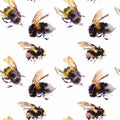 Watercolor bees seamless pattern isolated on white background. hand drawn watercolor illustration