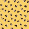 Watercolor bees seamless pattern isolated on white background. hand drawn watercolor illustration