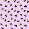 Watercolor bees seamless pattern isolated on white background. hand drawn watercolor illustration Royalty Free Stock Photo