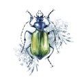 Watercolor beetle on a floral background. Animal, insects. Magic flight. Can be printed on T-shirts, bags, posters