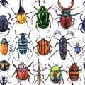 Watercolor beetles seamless pattern.