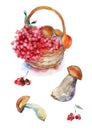 Watercolor berries and mushrooms.
