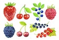 Watercolor berries set.