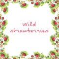 Wild strawberry frame Royalty Free Stock Photo