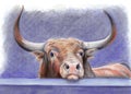 Watercolor big bull with beautiful horns behind a wall