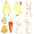 watercolor big set rabbit chick agg carrot easte