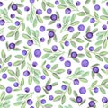 Watercolor bilberry seamless pattern