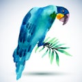 Watercolor bird. Blue parrot isolated on white background.