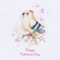 Watercolor bird card. Painted card with bird on branch. Love card with cute watercolor bird. Valentine\'s Day background