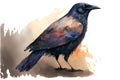 Watercolor bird crow isolated on white background. Hand drawn illustration.