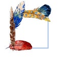 Watercolor bird feather from wing isolated. Frame border ornament square.