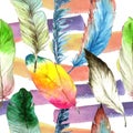 Watercolor bird feather from wing. Seamless background pattern. Fabric wallpaper print texture. Royalty Free Stock Photo