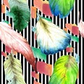 Watercolor bird feather from wing. Seamless background pattern. Fabric wallpaper print texture. Royalty Free Stock Photo