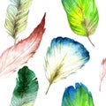 Watercolor bird feather from wing. Seamless background pattern. Fabric wallpaper print texture. Royalty Free Stock Photo