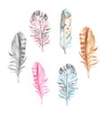 Watercolor bird feathers collection, isolated on white background. Hand drawn decorative exotic colorful decorative elements
