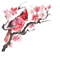 Watercolor bird on a flowering branch Royalty Free Stock Photo