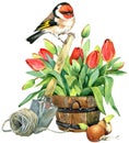 Watercolor Bird and Garden flowers background.