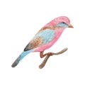 Watercolor bird hand drawn illustration.