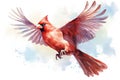 Watercolor bird illustration: A flying cardinal bird